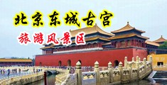 舔阴视频免费观看中国北京-东城古宫旅游风景区